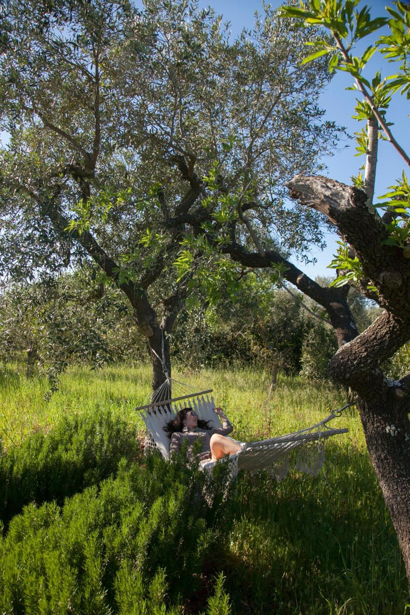 Trulli Alla Controra Conversano Dış mekan fotoğraf