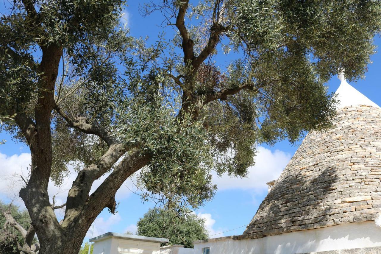 Trulli Alla Controra Conversano Dış mekan fotoğraf